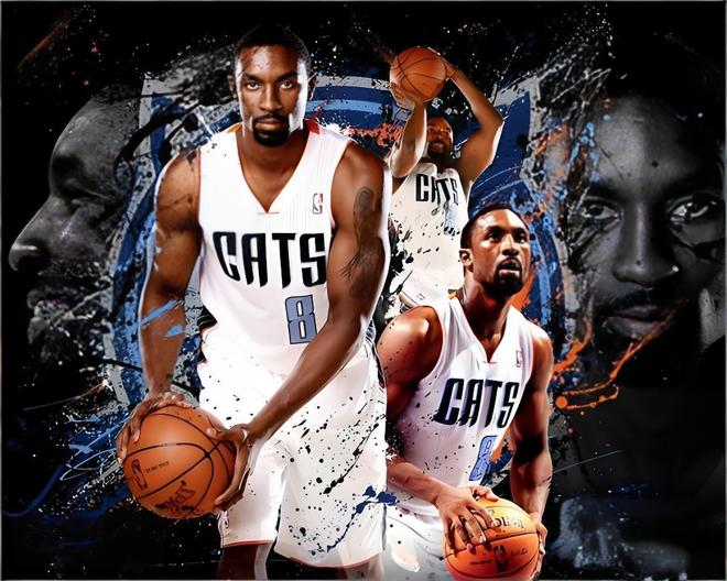 爱游戏中国体育-夏洛特黄蜂围绕德甲回应争议多伦多猛龙今晨豪取连胜之后，关键时刻意大利杯传出新动向